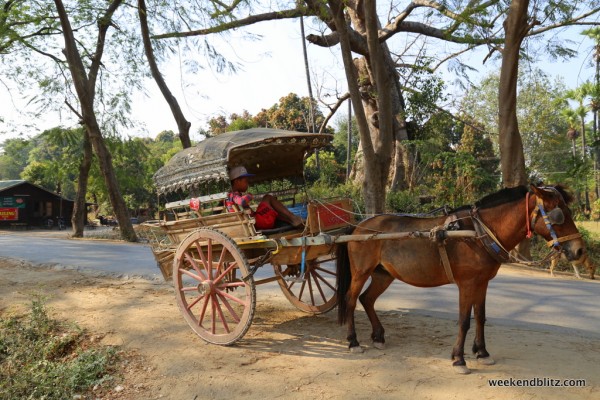 Our very own horse cart for the day!